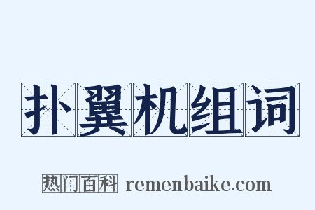 扑翼机组词是什么意思的图片